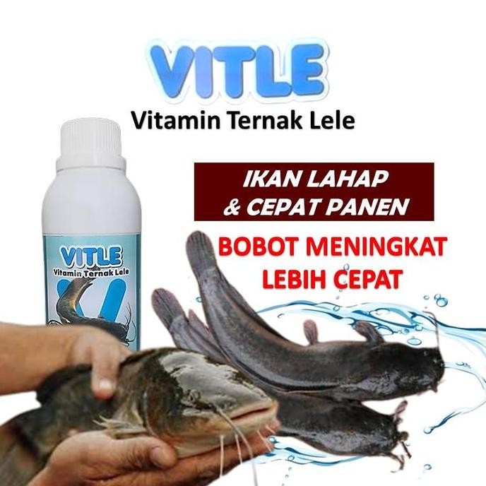 Terlaris Vitamin Ikan Lele / Vitamin Lele Cepat Besar / Vitamin Ikan Lele Biar Cepat Besar / Vitamin