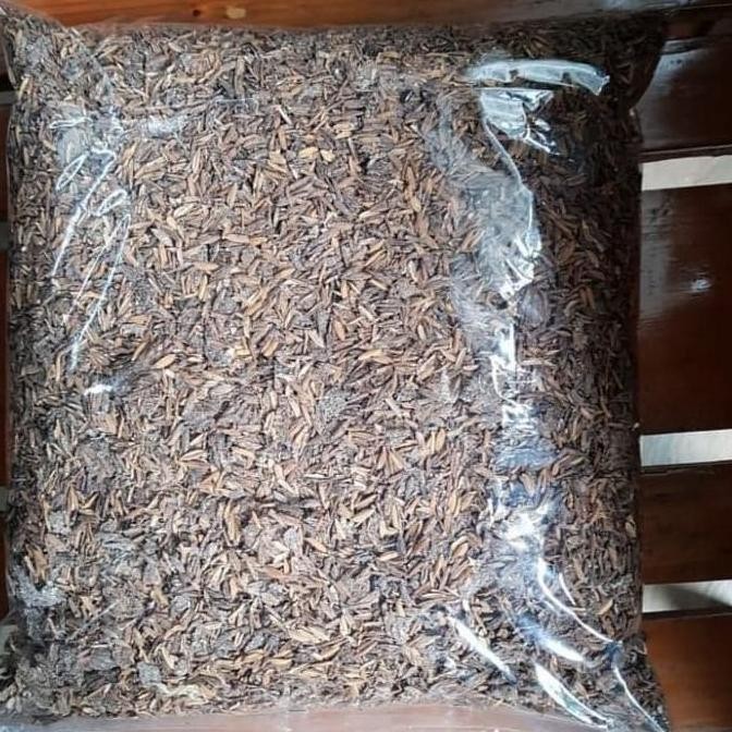

Terlaris Media Tanam Kompos Pupuk Kandang Ayam/ Pupuk Kandang Ayam 1 Kg