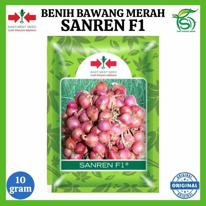 

Terlaris Terlaris Benih Bawang Merah Sanren F1 (10 Gram) - Bibit Cap Panah