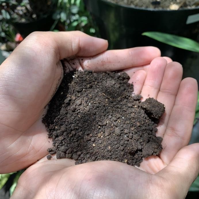 

Terlaris Pupuk Kandang Kambing Fermentasi Organik - 10 Kg