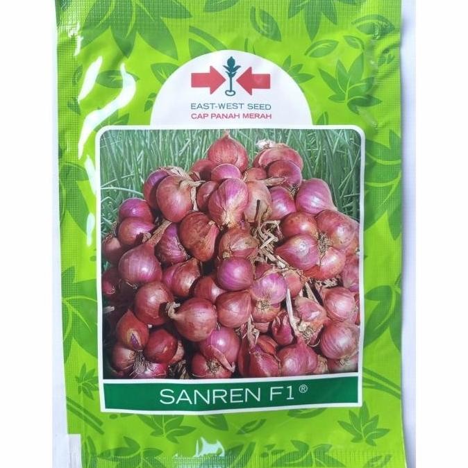 

Terlaris Benih Bawang Merah Sanren F1 (10 Gram) - Bibit Cap Panah Merah 10 Gr