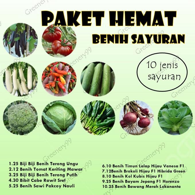 

Terlaris Tukuyuu Paket Benih Bibit Biji Sayuran Sayur Tomat Timun Sawi Terong Kobis Brokoli Bawang Merah Cabe Paket Komplit Murah Grais Ongkir
