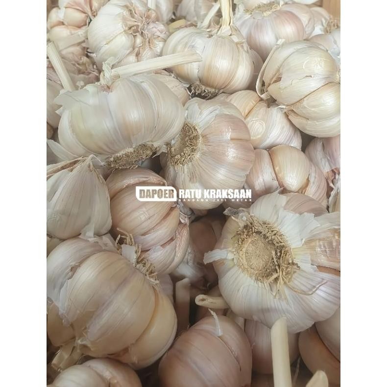 

bawang putih bersih 1kg AST nUg