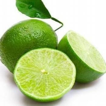 

Terlaris B4Ck Bibit Tanaman Buah Jeruk Nipis - Nimas Ee22 Laris