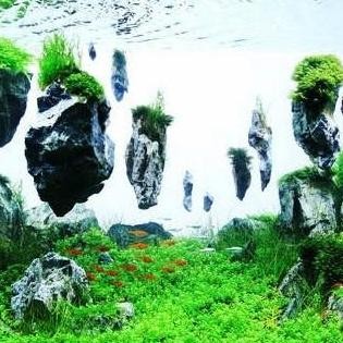 Terlaris Hiasan Aquarium Floating Rock Batu Aquascape Gantung Avatar Artificial - S