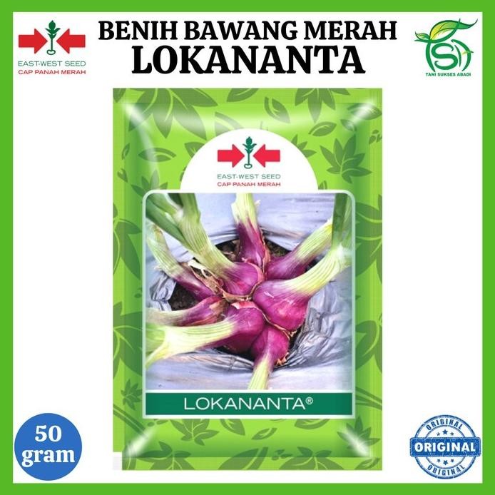 

Terlaris Kualitasterbaik- Benih Bawang Merah Lokananta 50 Gram - Bibit Cap Panah Merah 50 Gr