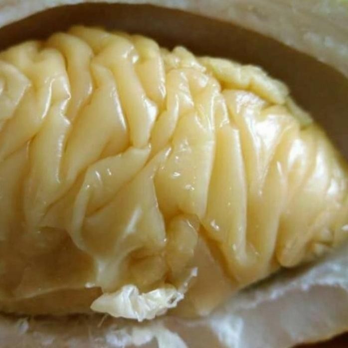 

Terlaris Bibit Tanaman Durian Siotak Langka/Benih Tanaman Durian Siotak Langkaa Terbatas