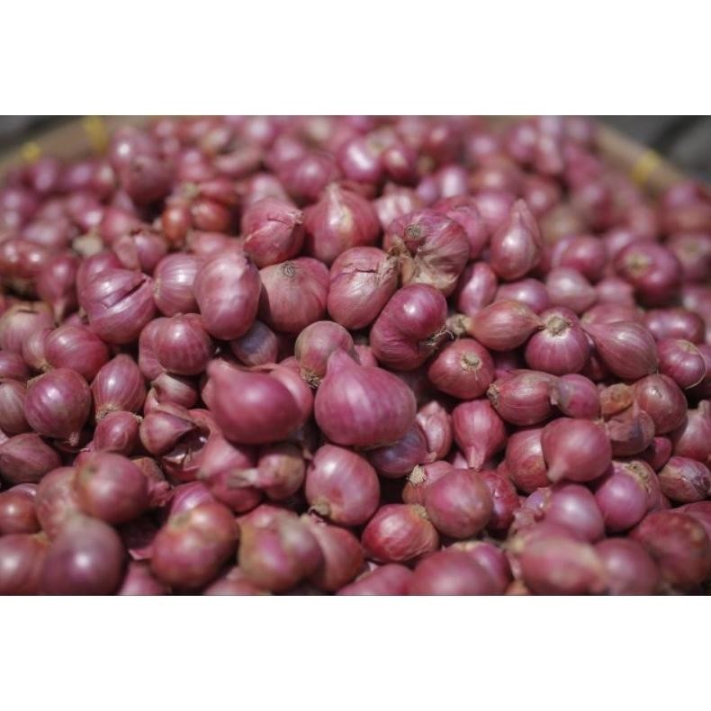 

BAWANG MERAH PROBOLINGGO SUPER berat 1kg AST nUg