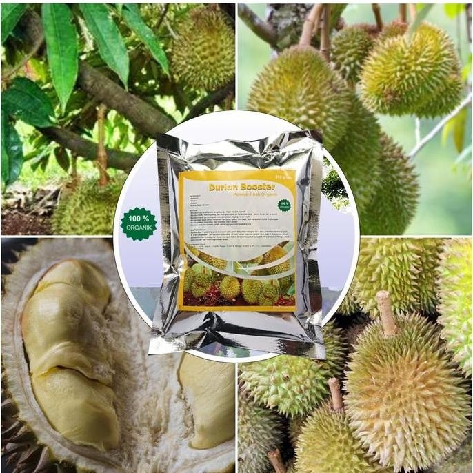 

Terlaris Pupuk Booster Durian Organik Agar Cepat Berbuah Lebat Vitamin Pembuahan Buah Duren Saat Sedang Berbunga Pelebat Anti Rontok Ampuh Terbaik Aman Penyubur Pohon Pertumbuhan Batang Daun Tanaman Cangkok Bibit Super Musang King Montong Bawor - King