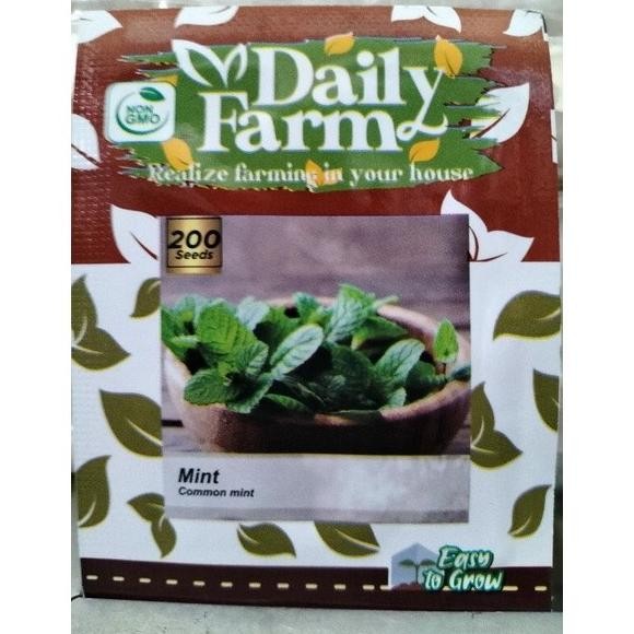 

Terlaris Benih Bibit Daun Mint Common Mint Kdxgwa 7883Cp