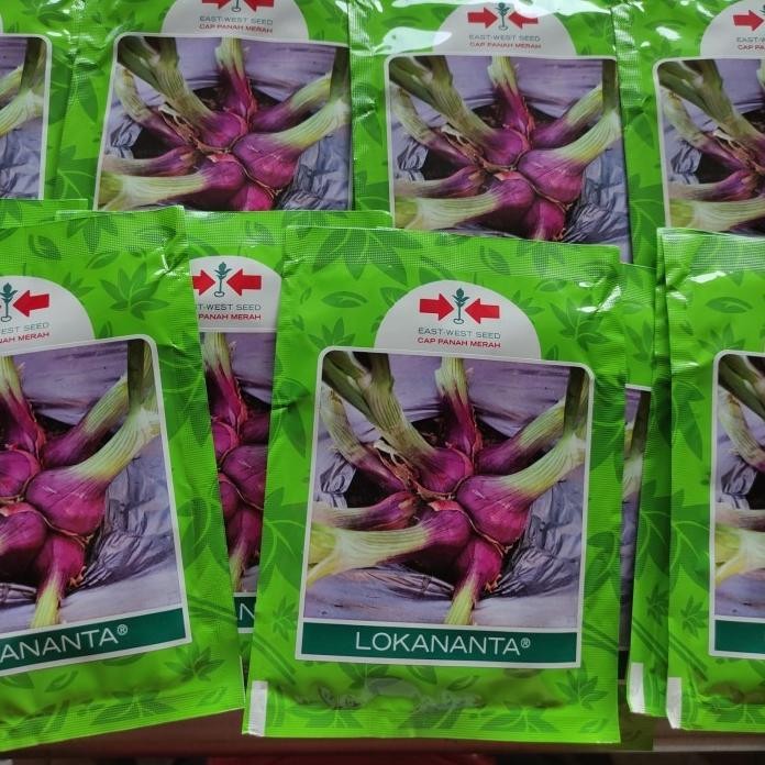 

Terlaris Ready Fresh Benih Bawang Merah Lokananta Isi 10 Gram Bibit Bawang Cap Panah Merah