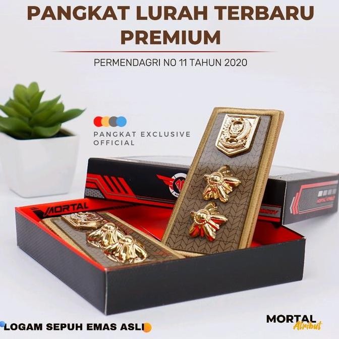 PANGKAT LURAH TERBARU EXCLUSIVE -PANGKAT PDH LURAH - LURAH TERBARU