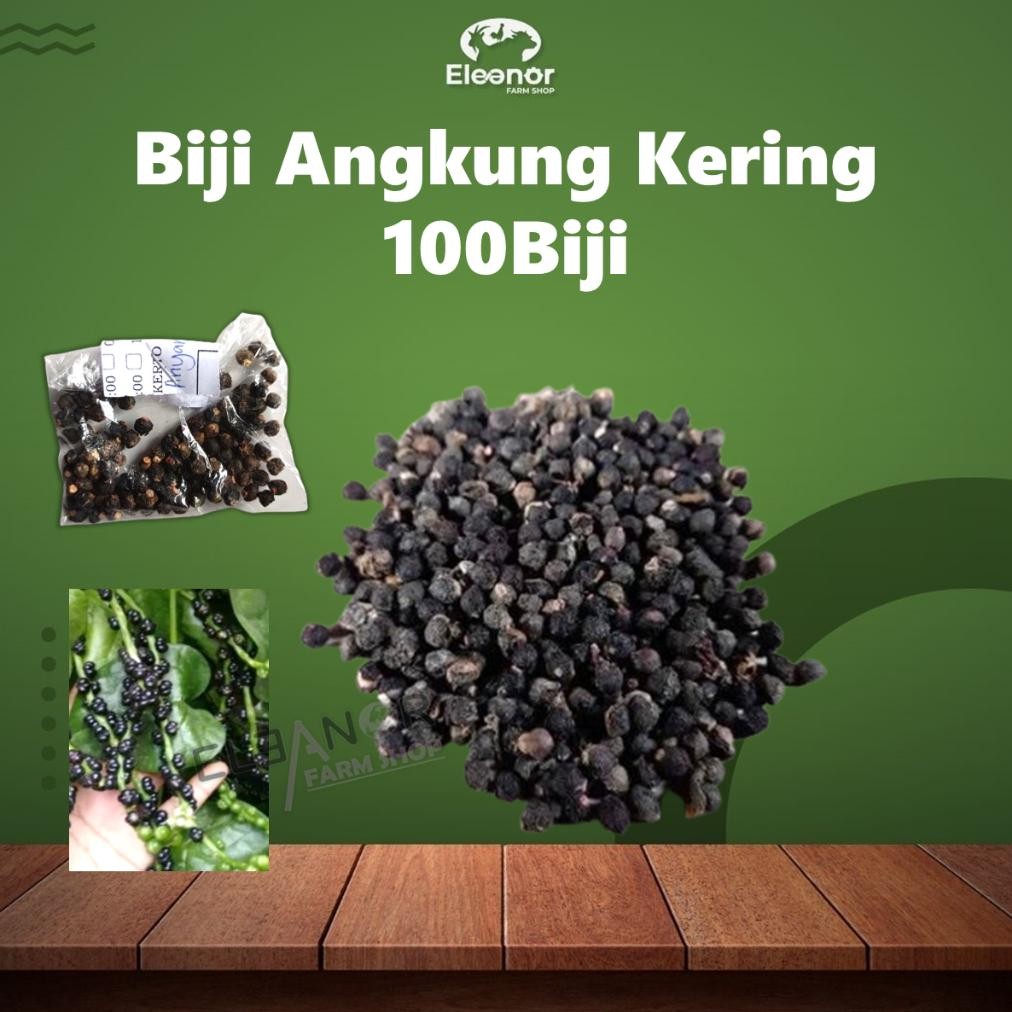 

Angkung Kering Biji Angkung 100Biji BERKUALITAS