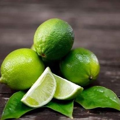 

Terlaris Paket Hemat 8 Bibit Jeruk Nipis