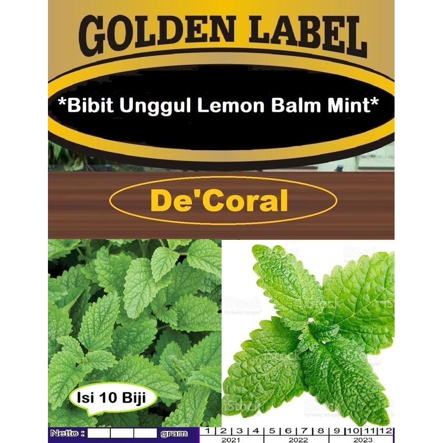 

Terlaris Bibit Unggul Lemon Balm Mint|Benih Lemon Balm Mint|Bibit Daun Lemon