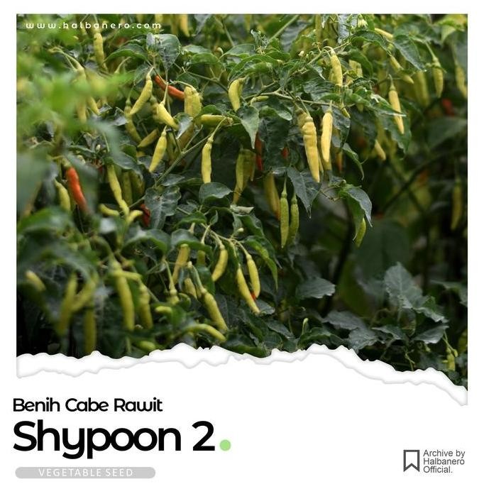 || BANANA / BENIH CABAI RAWIT NEW SHYPOON 2 - HALBANERO ||~~~