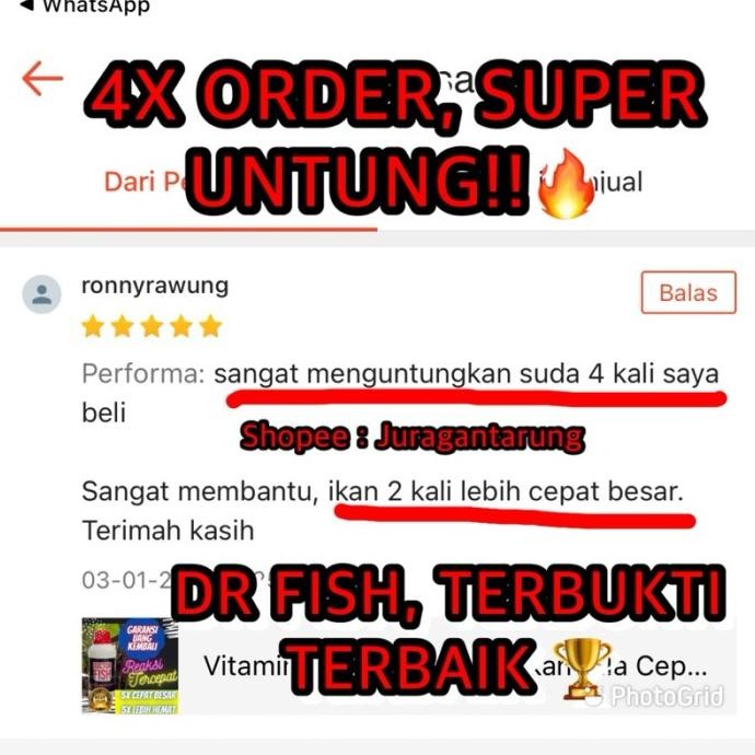 Terlaris Vitamin Ikan Nila,Vitamin Ikan Nila Cepat Besar,Vitamin Ikan Nila