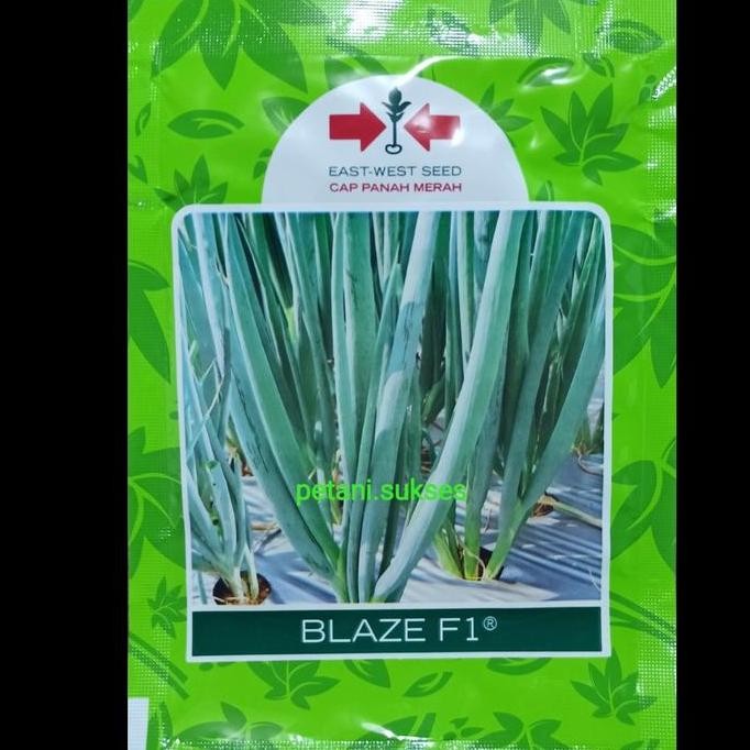 

Terlaris Bibit Benih Sayuran Daun Bawang Blaze F1 10Gr Cap Panah Merah