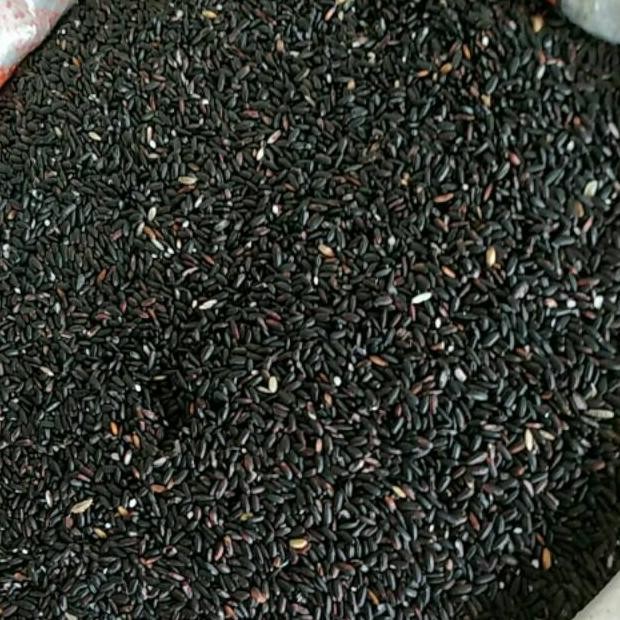 

Ketan hitam pk per kilo- GOSEND