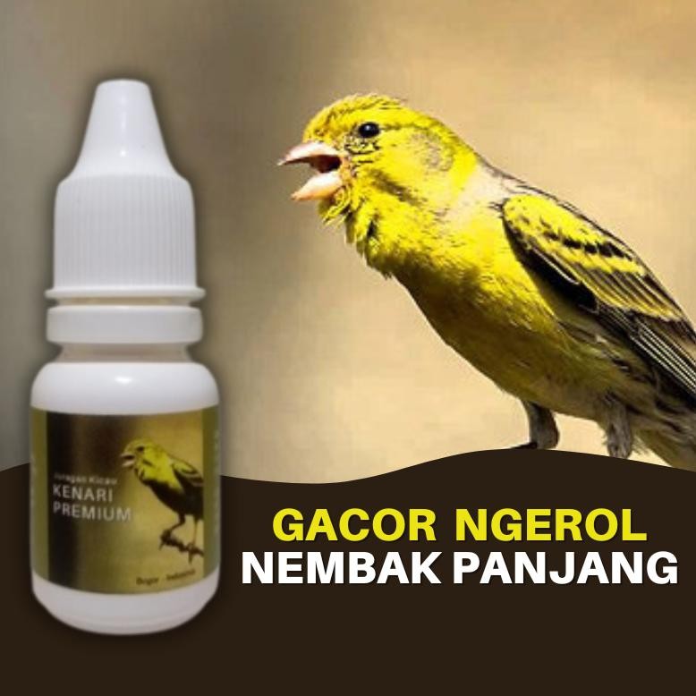 Terlaris Vitamin Burung Kenari Premium Harian Macet Bunyi Biar Cepat Gacor Terbaru