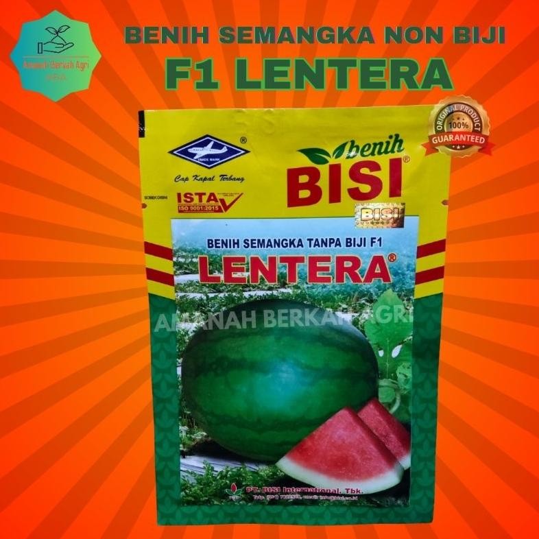 NEW Benih Semangka Non Biji LENTERA 100% ORIGINAL