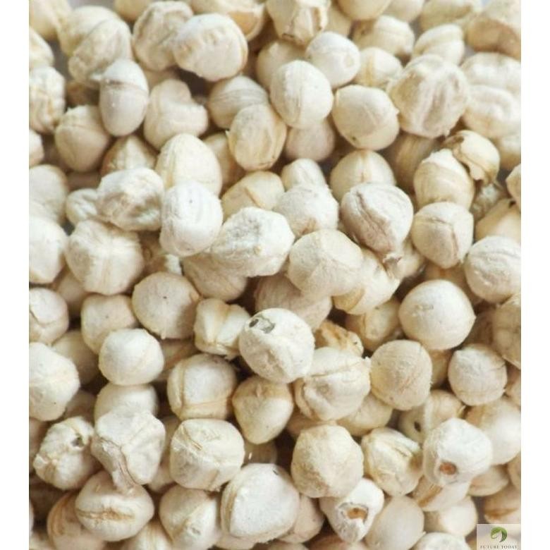 

Biji Kernel Kelor Kupas 250gram Kupasan Moringa