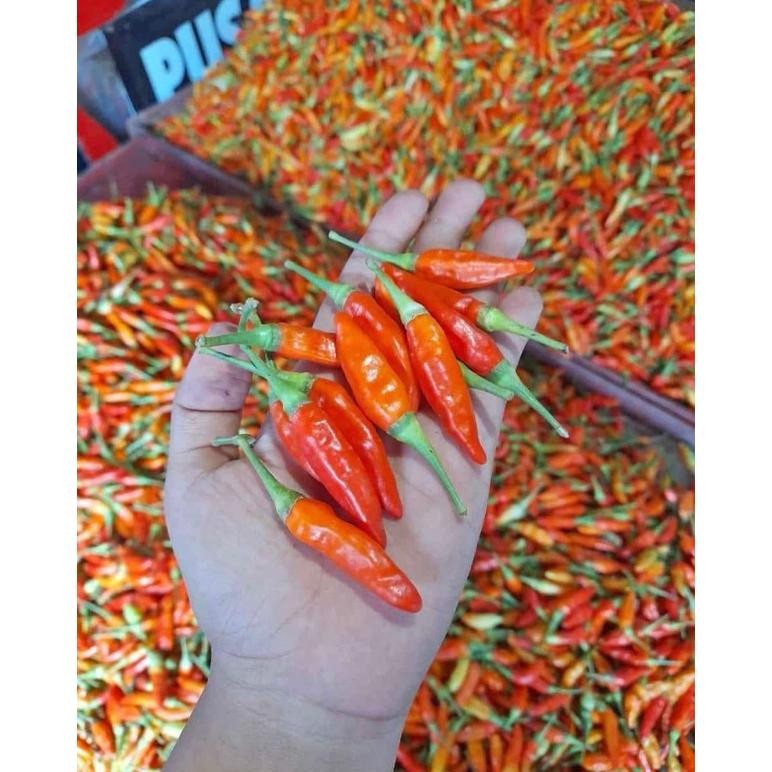 

Fungsi Cabe Merah Rawit Ori 1Kg