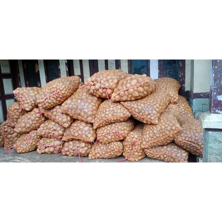

Praktis Kentang Segar [ Ukuran Kecil ] 1 Kg