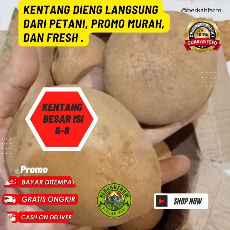 

Good Quality Kentang 1 Kg Ukuran Besar Ready