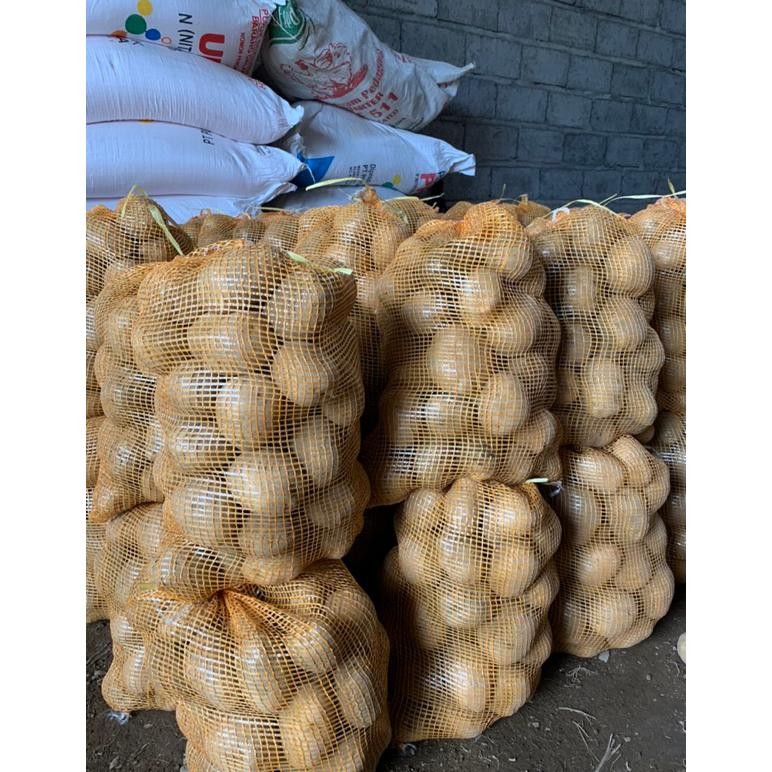 

Revolusioner Kentang Granola Dataran Tinggi Dieng Termurah Size Dn Harga Tertera Per 1Kg