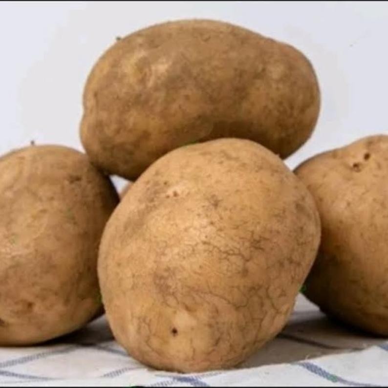 

Paket Kentang Dieng 500Gram Segar Kualitas Terbaik Khas Wonosobo