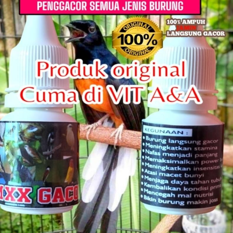 Terlaris MXX GACOR  vitamin penggacor semua jenis burung cuma 1 hari 2x tetes terbukti nyata khasiat