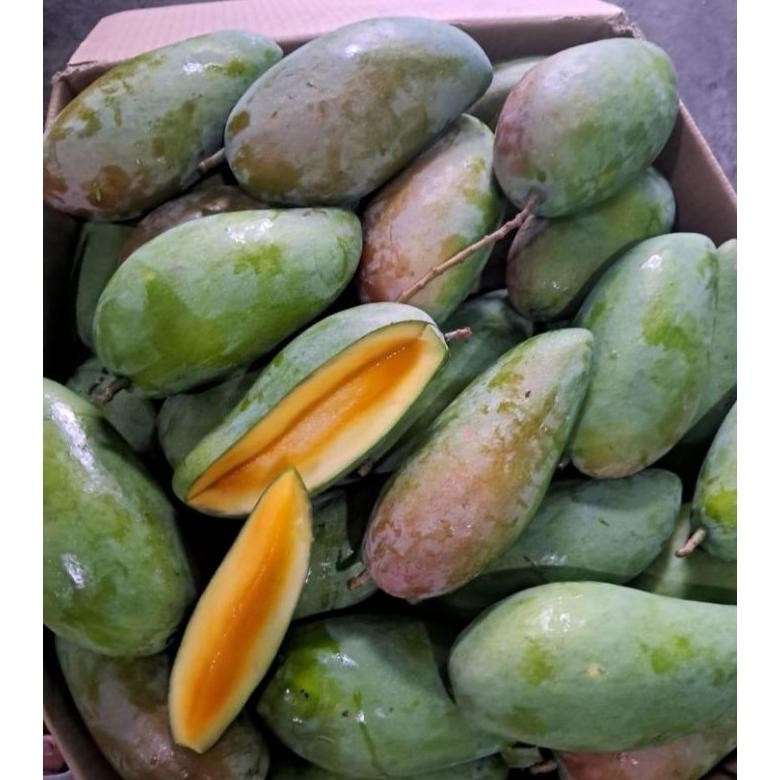 

Unik Mangga Kiojay Thailand 1Kg - 1,3Kg + Bumbu Rujak Bangkok - Mengkel Kriuk Garing