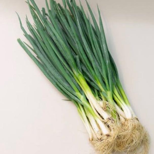 

Hemat Daun Bawang Segar 200Gr