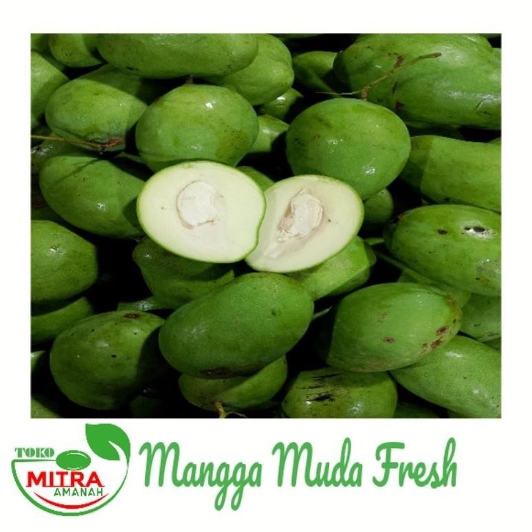 

Desain Elegan Mangga Muda Garansi Fresh