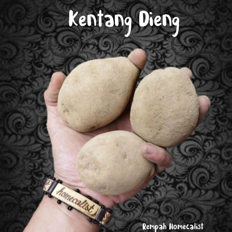 

Rekomendasi Kentang Segar 1Kg Kentang Dieng