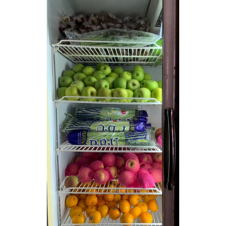 

Mudah Perawatan Seledri Stick Import / Celery / Sayuran Seledri Stick