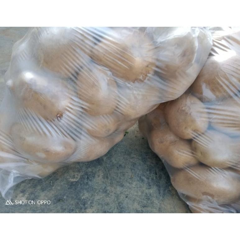 

Paket Elshop Kentang Dieng Fresh Bersih Murah 1 Kg (Kualitas Baik)