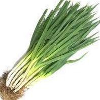 

Promo Bulan Ini [Dapur Express] Daun Bawang