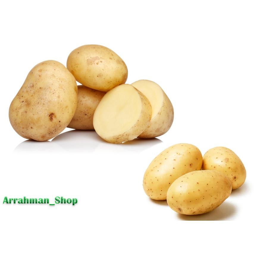 

Tersedia Sekarang Kentang - Kentang Dieng - Kentang Super Segar Fresh