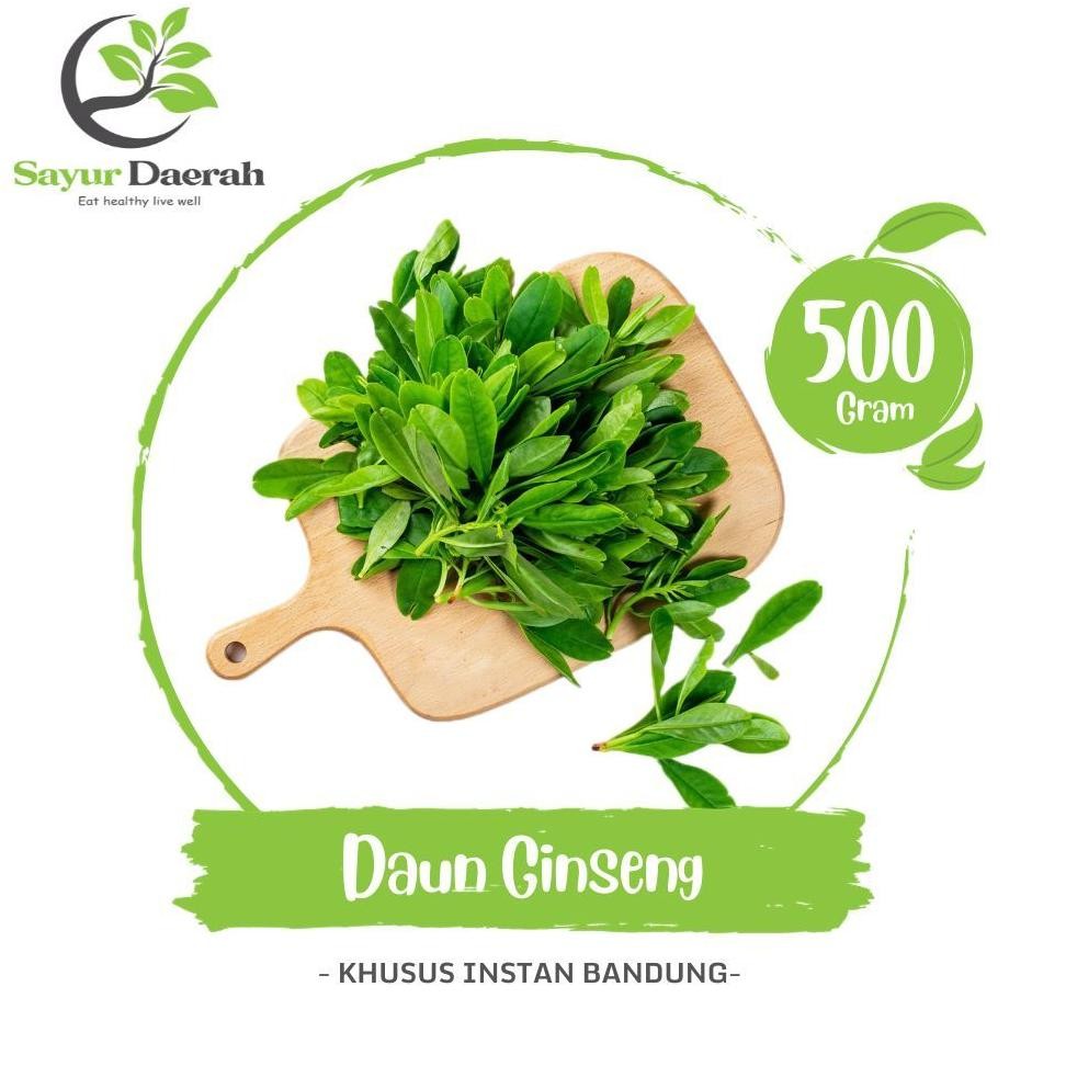 

Wajib Miliki Daun Ginseng Organik 500 Gr | Sayur Daerah