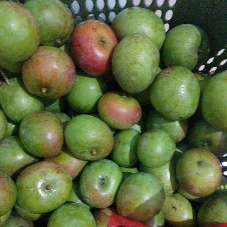 

Free Ongkir Mangga Muda Apel Fresh