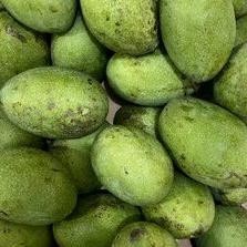 

Kenyamanan Mangga Madu Lokal