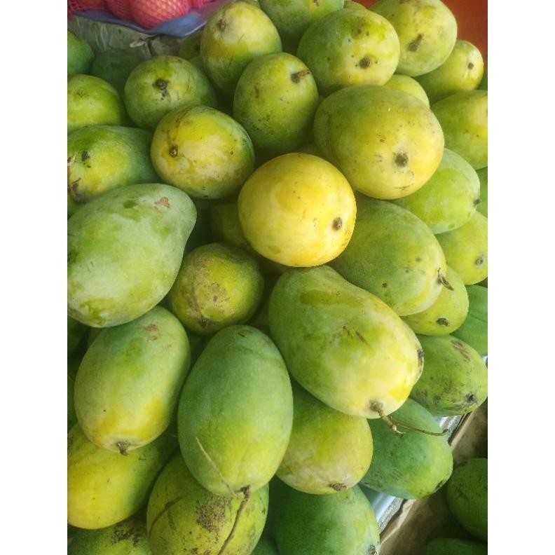 

Special Price Mangga Harum Manis 1Kg 4/5 Manis Dan Harum
