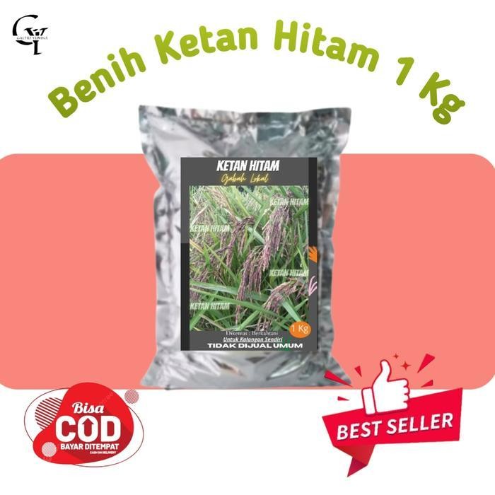 Gabah Bibit Padi Lokal Ketan Hitam 1 Kg Promo