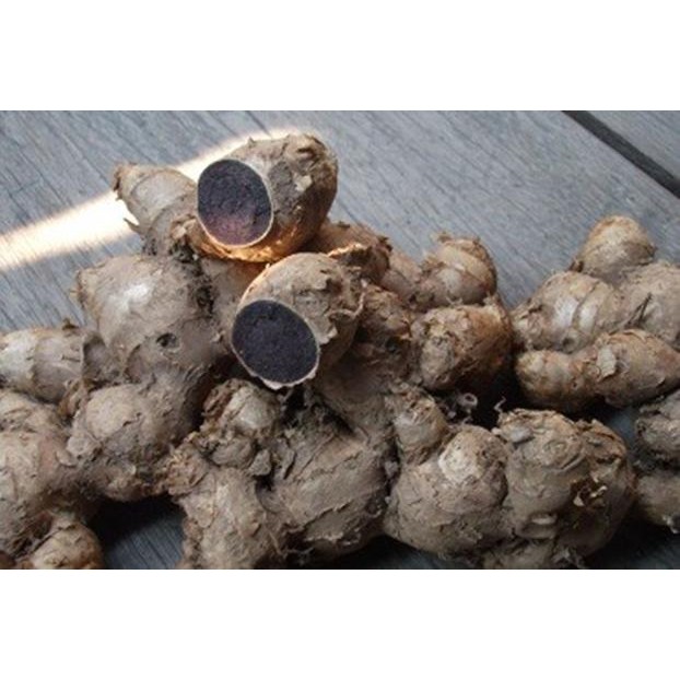 Kunyit Hitam Rimpang Umbi Asli Murah