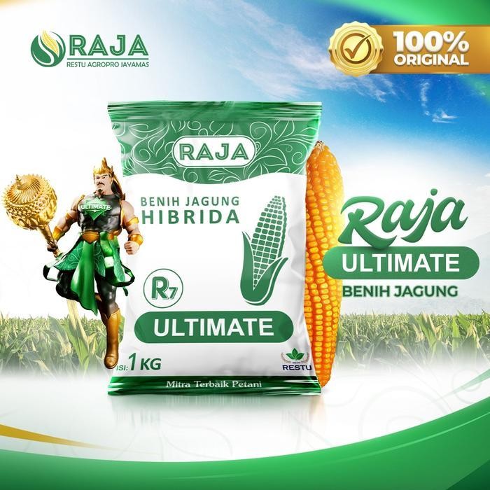 Benih Jagung Hibrida RAJA R7 Ultimate - 1kg Promo