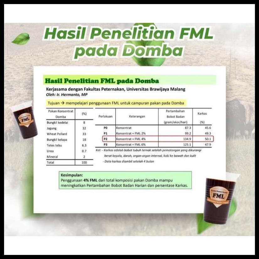 FML. FERMENTED MOTHER LIQUOR. SUMBER PROTEIN DAN ASAM AMINO TERNAK