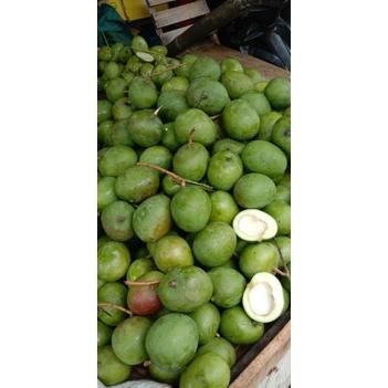 

Canggih Mangga Apel Mentah 1 Kilogram ( Rasa Masam / Asam ) Pas Buat Di Rujak Dan Di Makan Segar Mangga Muda Mantap Asam Asem