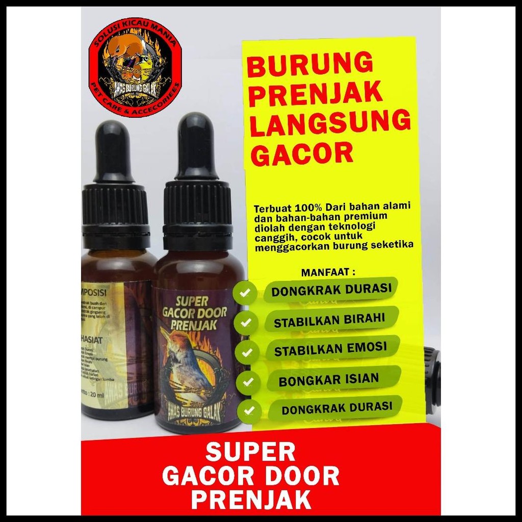 SUPER GACOR DOOR PRENJAK PENGGACOR SEKETIKA